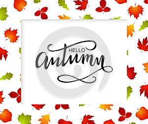Autumn frame background with fall leaf