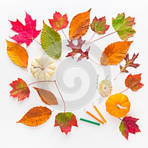 Autumn frame composition of colorful leaves and pumpkins.