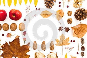 Autumn frame composition. Dried leaves, flowers, pine cones on white background. Autumn, fall, thanksgiving day concept. Flat lay