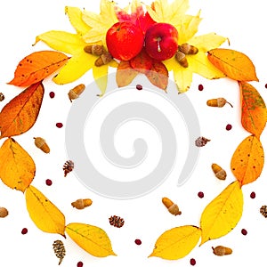 Autumn frame composition. Fall leaves, apple, pine cones on white background. Autumn, thanksgiving day concept. Flat lay, top view