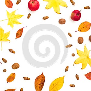 Autumn frame composition. Fall leaves, apple, pine cones on white background. Autumn, thanksgiving day concept. Flat lay, top view