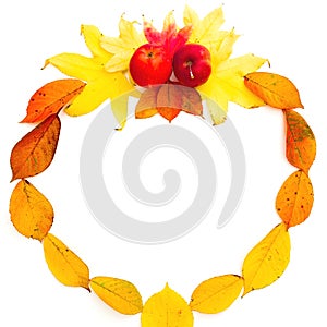 Autumn frame composition. Fall leaves and apple on white background. Autumn, thanksgiving day concept. Flat lay, top view