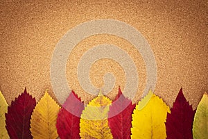 Autumn frame with copy space on brown wood background. Applique of red and yellow fallen leaves. Composition of foliage. Cardboard