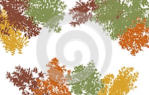 Autumn frame of deciduous branches of trees, silhouette, background. Vector illustration