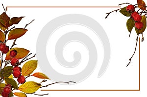 Autumn frame from dry twigs with ginger leaves and red berries isolated on white