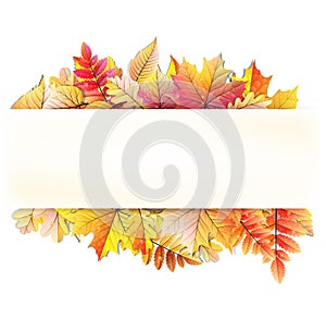 Jeseň rámik pokles list. obdĺžnik ohraničujúci potlačiteľnú oblasť 10 