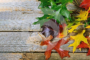 Autumn frame for fallen dry leaves of yellow, red, orange, laid out on the left side of the frame on wooden board