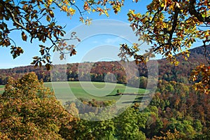 Autumn frame: forest and fields