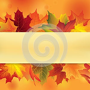 Autumn frame with leaves. Fall leaf background