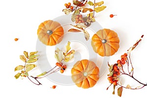 Autumn frame made of little orange pumpkins, rowanberries and colorful leaves isolated on white table background. Fall