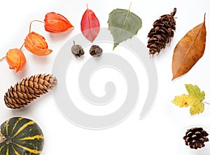 Autumn frame made of pumpkins, dried fall leaves, apples, red berries, walnuts, pine cones on wooden table. Thanksgiving, Hallowee