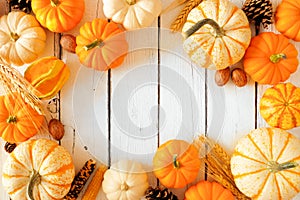 Autumn frame of pumpkins and fall decor on a rustic white wood background