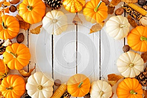 Autumn frame of pumpkins, leaves and natural fall decor on a white wood background