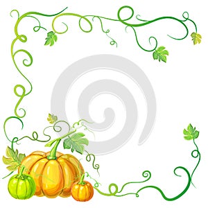 Autumn frame with pumpkins and vines, leaves and place for text. Thanksgiving, halloween or corn festival card template