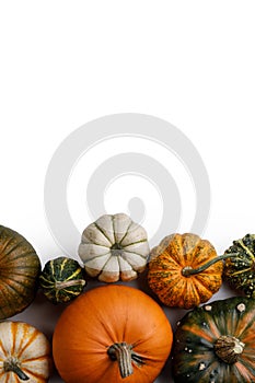 Autumn frame of pumpkins on white