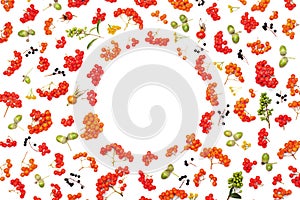 Autumn frame from rowan, acorns, flowers and various fruits isolated on white background from above. Flat lay styling.