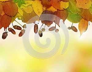 Autumn frame - seasonal background