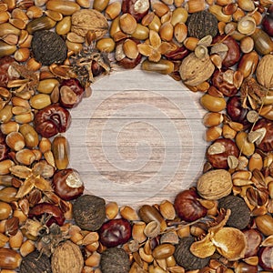 Autumn frame in the shape of a circle on a wooden background