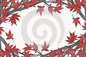 Autumn frame template with red Japanese maple