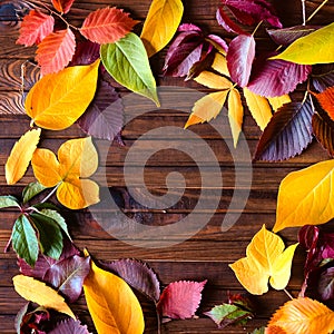 Autumn frame for your idea and text. Autumn fallen dry leaves of yellow, red, orange, laid out on the left side of the