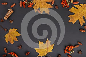 Autumn Frames and fall wall papers. Autumn background of leaves