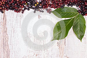 Autumn fresh elderberry with leaf and copy space for text on old wooden background