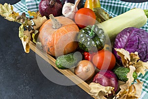 autumn fresh vegetables, pumpkins, tomatoes, cabbage, zucchini, onions, dry fallen leaves, cucumber, garlic
