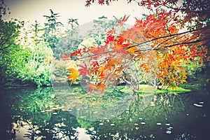 Autumn in Front Lake Park in china