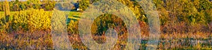 Autumn frosted around and meadow with trees on the sunny blue sky background