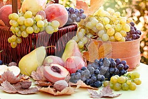 Autumn fruit, autumn organic fruits on table