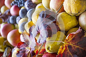 Autumn fruit. Pears, apple and grapes. Autumn harvest