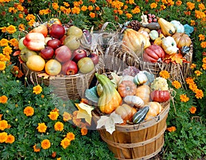 Autumn fruit and vegetables