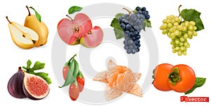Autumn fruits and berries. Pear, pink apple, white sweet grape and wine grape, fig, goji berry, persimmon fruit.  photo