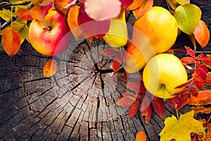 Autumn fruits and colorful leaves over old cracked wooden background. Fall. Thanksgiving