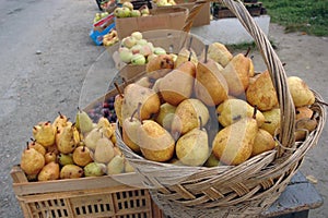 Autumn fruits sold at the edge of the road