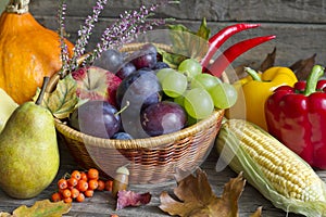 Autumn fruits and vegetables abstract still life