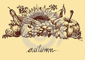 Autumn fruits and vegetables