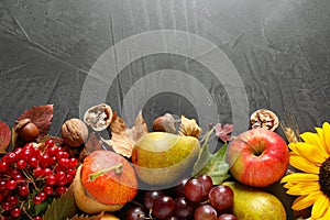 Autumn fruits and vegetables on grey background, flat lay. Happy Thanksgiving day