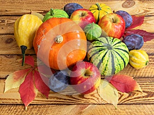 Autumn fruits and vegetables. Thanksgiving background concept.