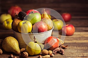 Autumn fruits