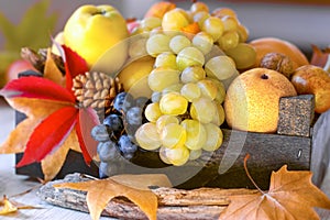 Autumn frut and vegetable in wooden crate photo