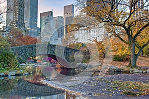 Autumn at the Gapstow bridge