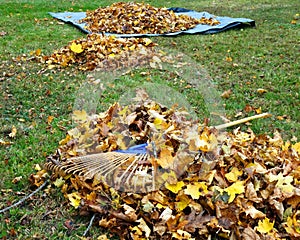 Autumn Garden Chore photo