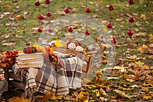 Autumn garden decor