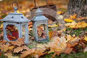 Autumn garden decor