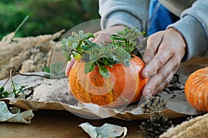 Autumn garden decor, pumpkin succulent planter.