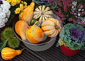 Autumn garden decor