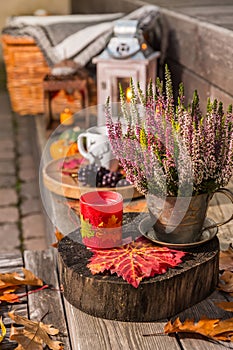 Autumn garden decoration on terrace and patio with pumpkins and heather plant