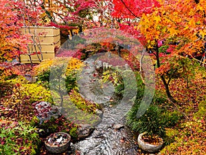 Autumn garden at Eikando, Kyoto