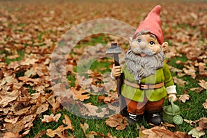 Autumn Garden Gnome photo